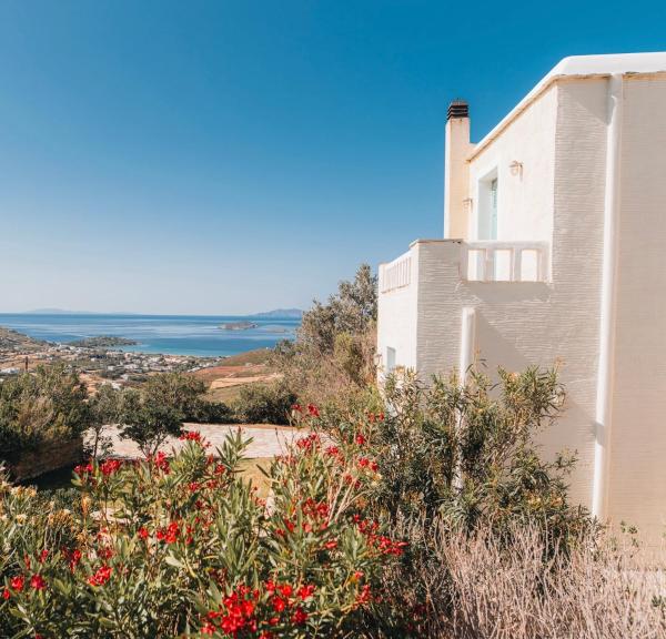 Villa Il Paradiso Andros, Κράτηση  Γαύριο Άνδρος