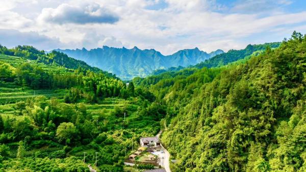 Your Quiet Place -Near Zhangjiajie Forest Park,Wulingyuan, Κράτηση  Xinglong Hunan