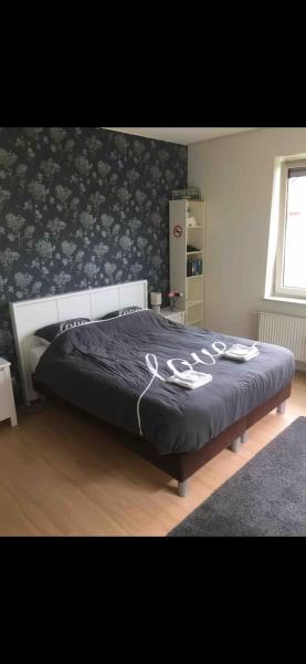 De Groene Oase, Κράτηση  Harkstede Χρόνινγκεν