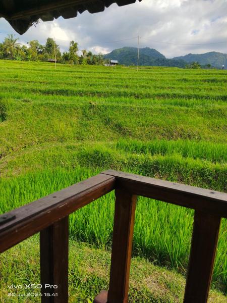 Pondok Pengaringan Loon, Κράτηση  Gitgit Μπαλί