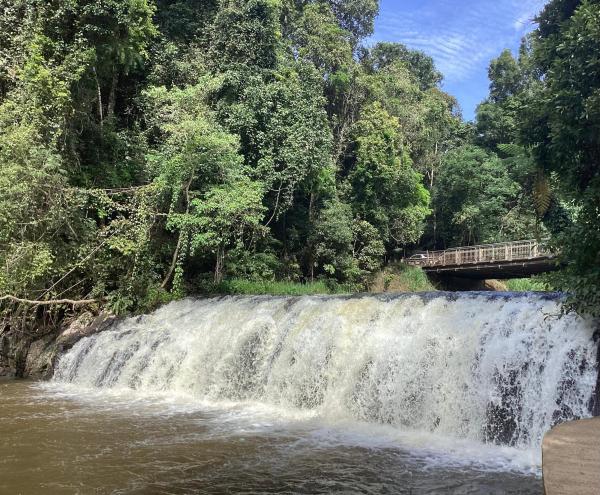 Malanda Falls Retreat, Κράτηση  Malanda Κουίνσλαντ