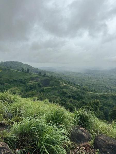 Banasura Wayanad, Κράτηση  Meenangadi Wayanad