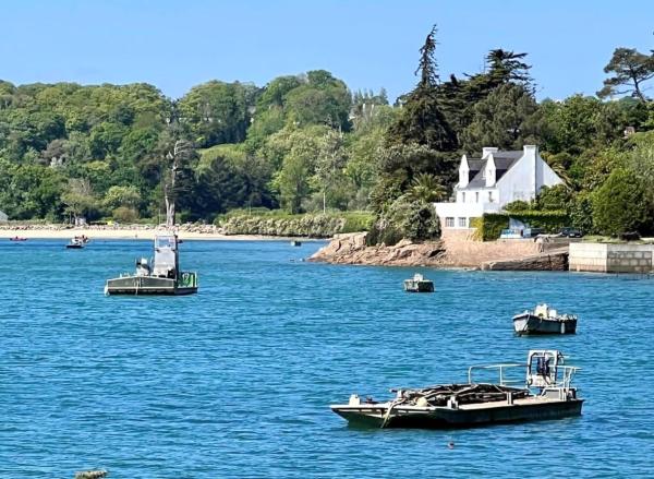 BB les pieds dans L\eau CARANTEC, Κράτηση  Carantec Finistère
