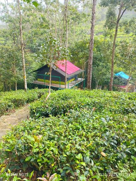 Organic Farmers Tent & Trekking, Κράτηση  Yedapalli Tamil Nadu