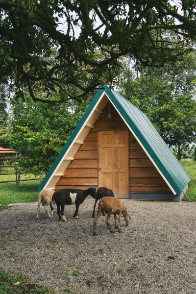 Musasana Wellness Farm, Κράτηση  Puerto Viejo Ερέδια